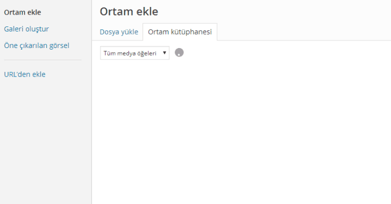 wordpress ortam dosyaları görünmüyor